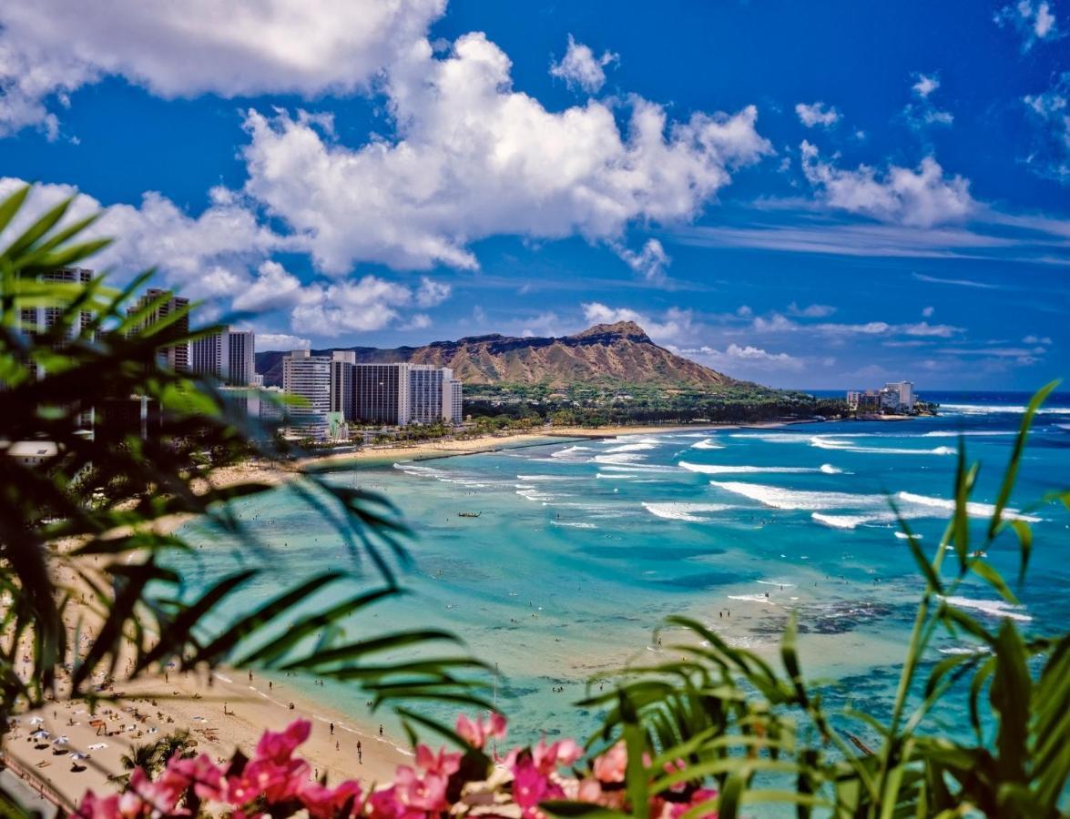 Great Diamond Head Views, 2Br Condo With Free Parking! ホノルル エクステリア 写真